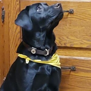 Meet your Posher, Jill